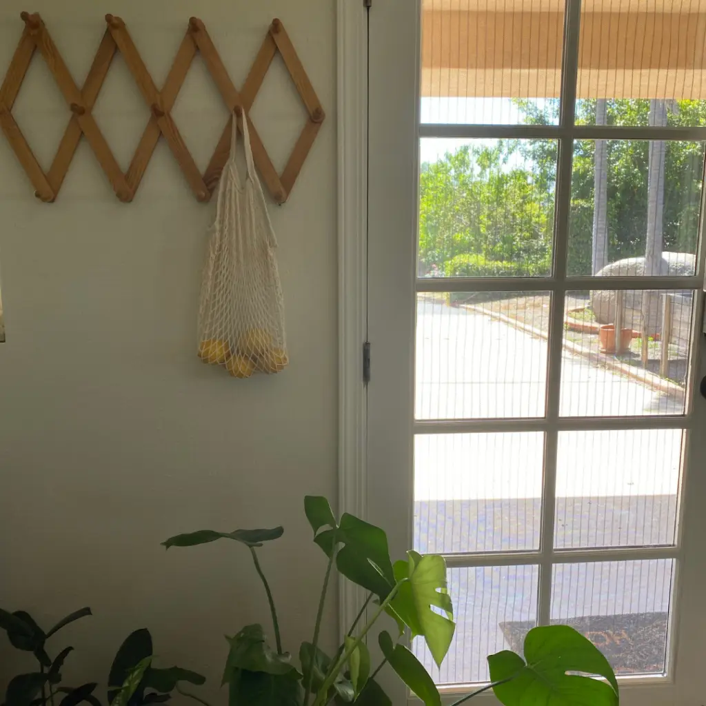 Decorative Wall Hooks