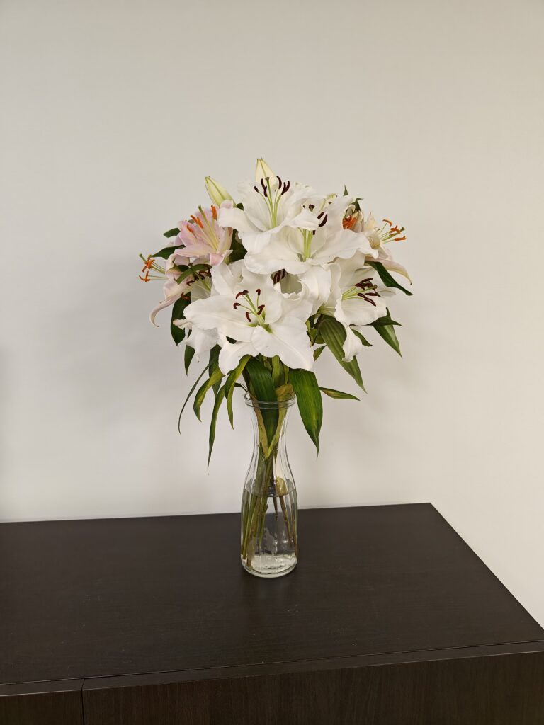White lilies with green leaves
