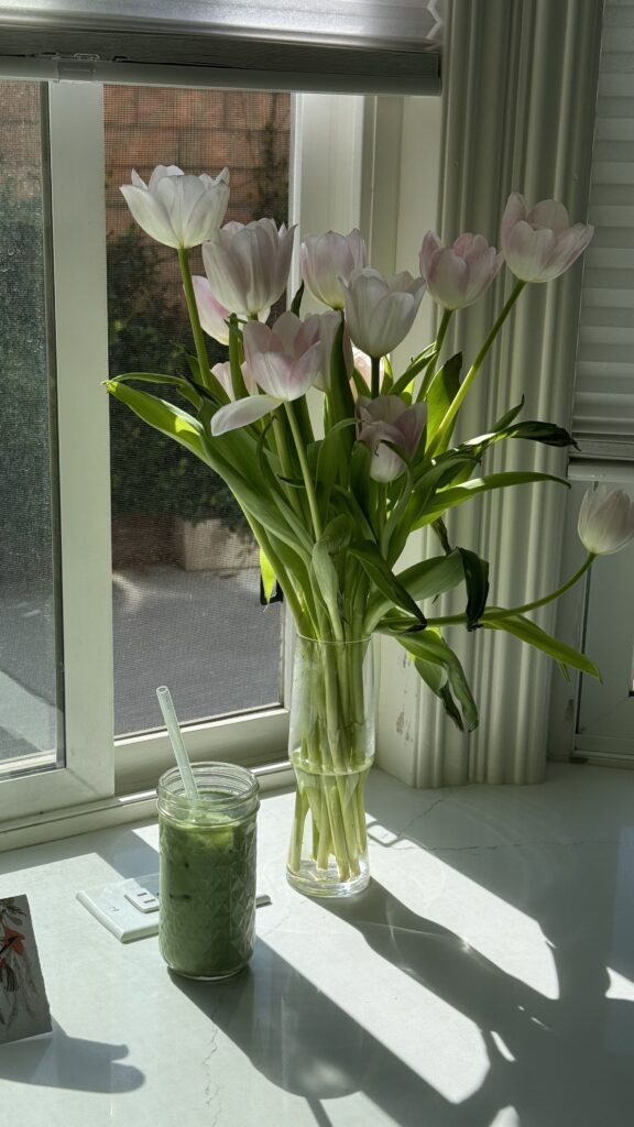 White tulips in glass vase